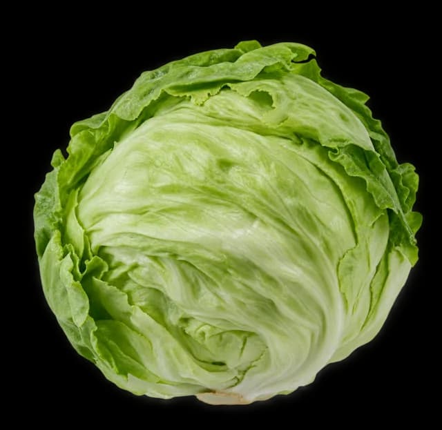 Eisbergsalat