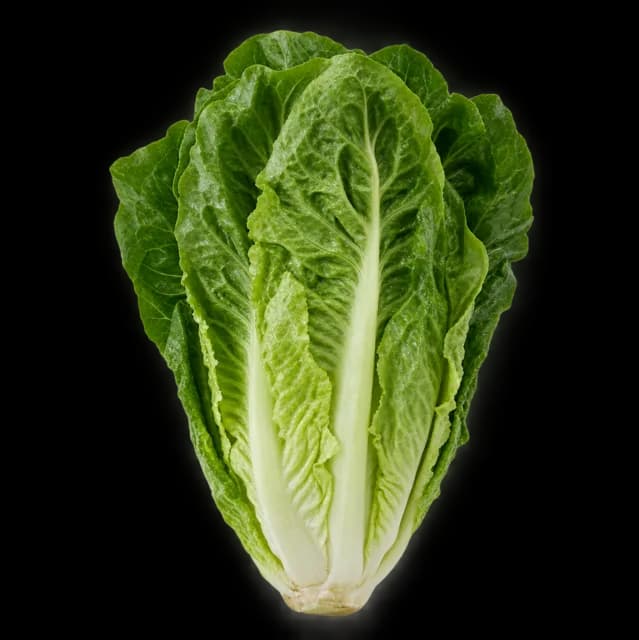 Romana Salat